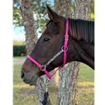 STABLE HALTER & LEAD made from BETA BIOTHANE