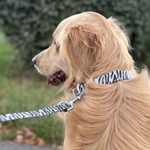 DOG LEASH made from BETA BIOTHANE