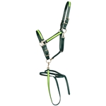 ****PHOTO SAMPLE*** $20 Hunter Green Beta Biothane with Safety Yellow Overlay Halter & Matching Lead - Horse Size