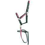 ****PHOTO SAMPLE*** $20 Hunter Green Beta Biothane with Pink Overlay Halter & Matching Lead - Horse Size