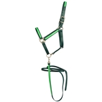 ****PHOTO SAMPLE*** $20 Hunter Green Beta Biothane with Green Overlay Halter & Matching Lead - Horse Size