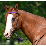 purple(med-dark) BETA BIOTHANE with OVERLAY Western Bridle with Snap on Browband 