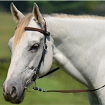 blackbrown BETA BIOTHANE with OVERLAY Western Bridle with Snap on Browband 