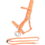 Your Choice of Halter Bridle with a FREE Riding Lead Rope
