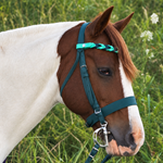 Braided Snap On Browband for your bridle!