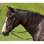 black BLING Western Bridle with Snap on Browband 