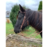 Snap On Browband WESTERN BRIDLE made from LEATHER