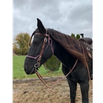 betabiothanecolors LEATHER Western Bridle with Snap on Browband 