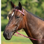 Snap on Browband WESTERN BRIDLE made with CAMOUFLAGE Beta Biothane