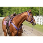 yellow Traditional HALTER BRIDLE with BIT HANGERS made from BETA BIOTHANE (Solid Colored)