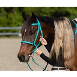 yellow BETA BIOTHANE Halter Bridle with Bit Hangers