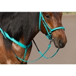 black BETA BIOTHANE Halter Bridle with Bit Hangers