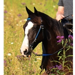 ENGLISH BRIDLE made from Beta Biothane (Solid Colored)