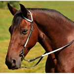 white BETA BIOTHANE with OVERLAY Western Bridle (One or Two Ear Split Ear Browband)