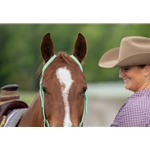 WESTERN BRIDLE (One Ear or Two Ear Split Ear Browband) made from BETA BIOTHANE (Solid Colored)