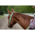 limegreen BETA BIOTHANE Western Bridle (One or Two Ear Split Ear Browband)