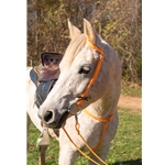 yellow BETA BIOTHANE Western Bridle (One or Two Ear Split Ear Browband)