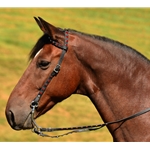 black BLING Western Bridle (One or Two Ear Split Ear Browband)