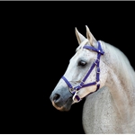 Quick Change HALTER BRIDLE with Snap on Browband made from BETA BIOTHANE (Solid Colored)