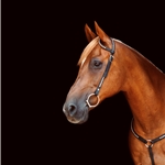 WESTERN BRIDLE (One or Two Ear Split Ear Browband) made from BETA BIOTHANE (with SILVER SPOTS or STUDS)