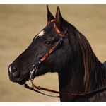 WESTERN BRIDLE (One Ear or Two Ear Split Ear Browband) made with CAMOUFLAGE Beta Biothane