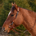 orangecamouflageoverlay CAMOUFLAGE Western Bridle (One or Two Ear Split Ear Browband)