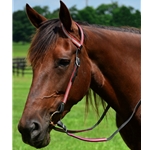 wine REFLECTIVE Western Bridle (One or Two Ear Split Ear Browband)