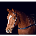 black LEATHER Western Bridle (One or Two Ear Split Ear Browband)