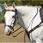 ENGLISH BRIDLE with CAVESSON made from LEATHER with Beta Biothane Diamond Cutouts