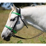 ENGLISH CONVERT-A-BRIDLE made from BETA BIOTHANE (ANY 2 COLOR COMBO