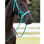 Convertible Bitless Bridle made from BETA BIOTHANE (Solid Colored)