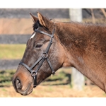 Simple Sidepull Bitless Bridle made from BETA BIOTHANE (Solid Colored)
