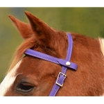 purple BETA BIOTHANE Snap on Browband