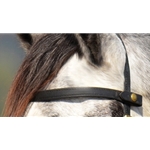 black BETA BIOTHANE Snap on Browband