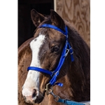 Traditional HALTER BRIDLE with BIT HANGERS made from NYLON