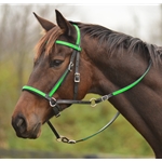 2 in 1 BITLESS BRIDLE made from BETA BIOTHANE (Any 2 COLOR COMBO)