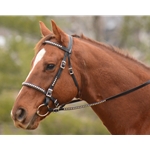 MEDIEVAL BAROQUE WAR or PARADE BRIDLE made from BETA BIOTHANE (with Silver Spots/Studs))