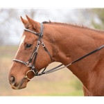 Traditional HALTER BRIDLE with BIT HANGERS made from BETA BIOTHANE (with JEWELS RHINESTONES BLING)