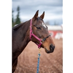 Beta Biothane Rope Combo Halter - Premium Quality Equestrian Gear for Your Horse