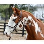 ****BETTER THAN  LEATHER ****Halter Bridle made from BETA BIOTHANE