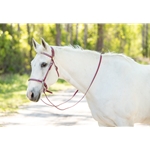 SHOW BRIDLE with Silver Studs made from Beta Biothane