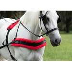 BIOTHANE HARNESS with SILVER SPOTS
