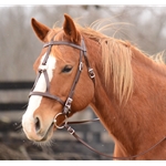 ****BETTER THAN  LEATHER ****War Bridle made from BETA BIOTHANE