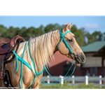 One Size Fits Most WESTERN BRIDLE made from BETA BIOTHANE (Solid Colored)