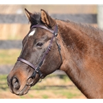 Colored Thread ENGLISH CONVERT-A-BRIDLE made from BETA BIOTHANE