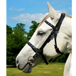 ENGLISH CONVERT-A-BRIDLE made from Beta Biothane (with BLING)