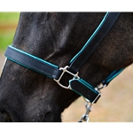 Padded Halter made from BETA BIOTHANE with Shiny Metallic Leather Padding