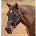 Riding/Driving UNDER HALTER made from BETA BIOTHANE (Solid Colored)