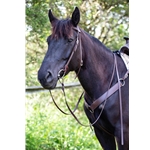 ****BETTER THAN LEATHER****Western Bridle made from Beta Biothane