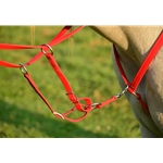 red BETA BIOTHANE Running Martingale  Attachment